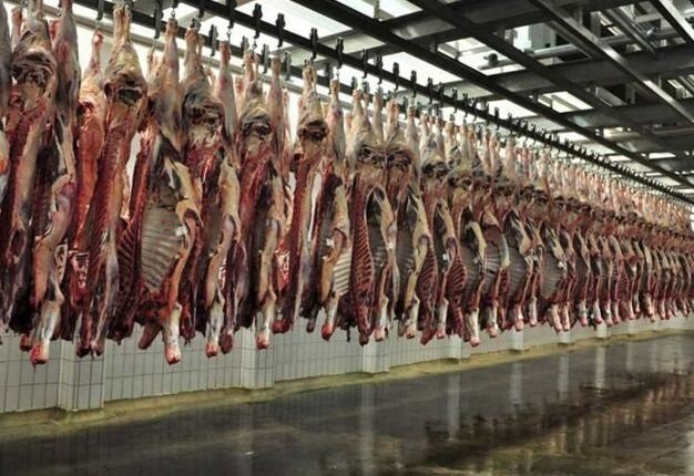 نامعادله قیمت دام زنده و قیمت گوشت،قیمت گوشت کاهش می‌یابد؟