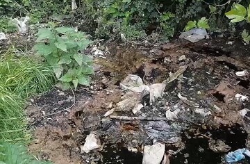 ببینید: دپوی زباله و تخریب جنگل‌های نکا