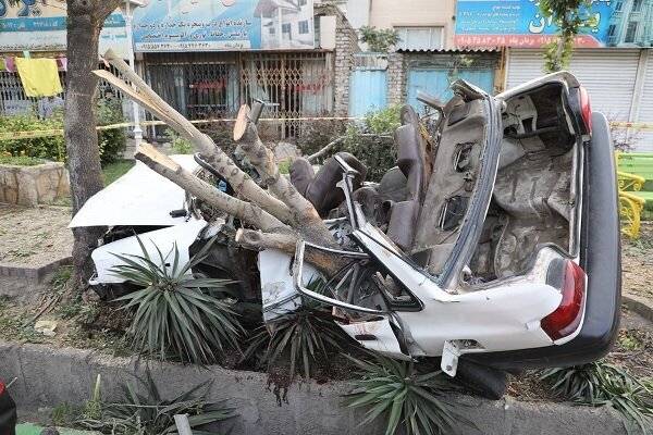 تصاویر | وضعیت عجیب پراید پس از تصادف با درخت!