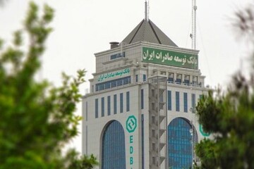 مصائب بانک های توسعه ای در ایران/این بانکها با چه چالشهایی مواجهند؟