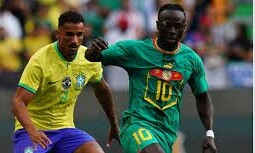 برزیل ۲-۴ سنگال؛ سلسائو شکار بزرگ شیرهای ترانگا + فیلم خلاصه بازی