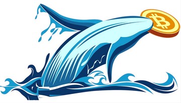 نهنگ‌ها عامل افزایش قیمت بیت‌کوین