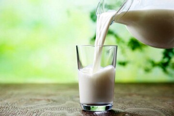 فیلم | چرا سرانه مصرف شیر کاهش پیدا کرد؟