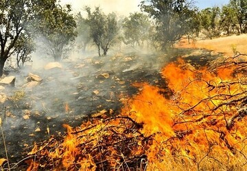 هشدار خطر آتش‌سوزی جنگل‌ها و مراتع در این استان !