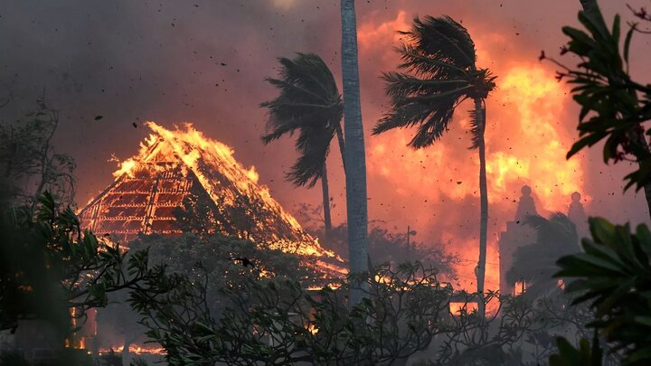 هزار نفر در آتش‌سوزی‌ها در هاواییِ آمریکا ناپدید شدند 