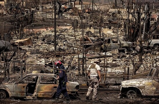 آخرین آمار مرگبارترین آتش‌سوزی‌ در آمریکا / ۱۱۴ کشته و ۸۵۰ مفقود در هاوایی