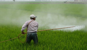 کشاورزان ایرانی چقدر از آفت کش شیمیایی استفاده می‌کنند؟