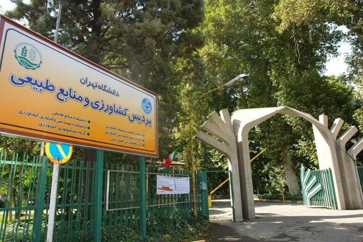 ماجرای از حال رفتن دانشجوی دختر دانشگاه تهران / ۲ دانشجو در انظار عمومی همدیگر را بغل کرده بودند!