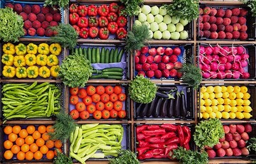 در ۶ ماهه اول سال، صادرات محصولات غذایی و کشاورزی ۲۱ درصد رشد کرد