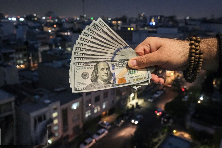 دلار از سبد ارزهای مسافرتی به کشورهای همسایه حذف شد