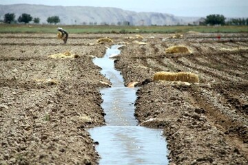 یک سوم اراضی زراعی ایران شور شدند