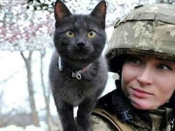 اعزام گربه‌ ها به خط مقدم جنگ اوکراین + عکس