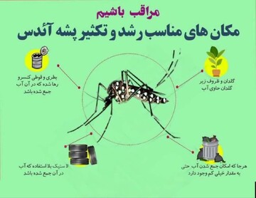 ۴۰ شهر ایران درگیر پشه آئدس ؛ این استان‌ها آلوده‌اند + جزئیات