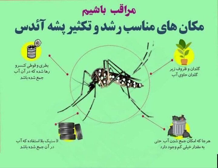 ۴۰ شهر ایران درگیر پشه آئدس ؛ این استان‌ها آلوده‌اند + جزئیات