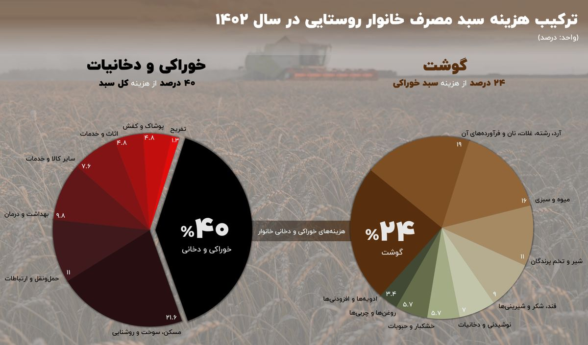 «خوراک»، هزینه‌سازترین کالای روستانشینان + نمودار
